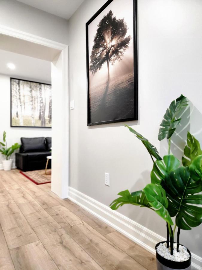 The Cozy Cove Modern King-Bedroom Full Apartment Saint Catharines Exterior photo